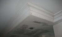 Ein Stuckateur arbeitet an der Verzierung einer Wand in einem